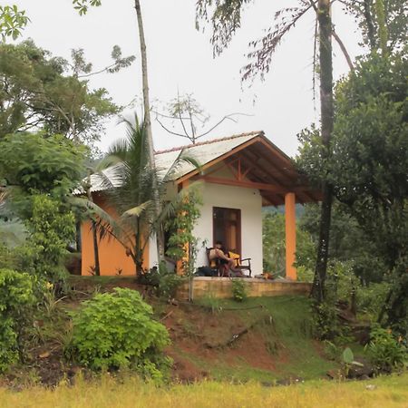Hotel Serene Sinharaja Deniyaya Exterior foto
