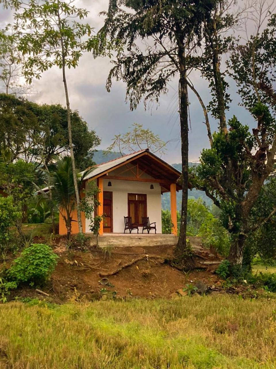 Hotel Serene Sinharaja Deniyaya Exterior foto